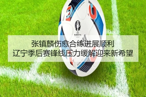 张镇麟伤愈合练进展顺利 辽宁季后赛锋线压力缓解迎来新希望